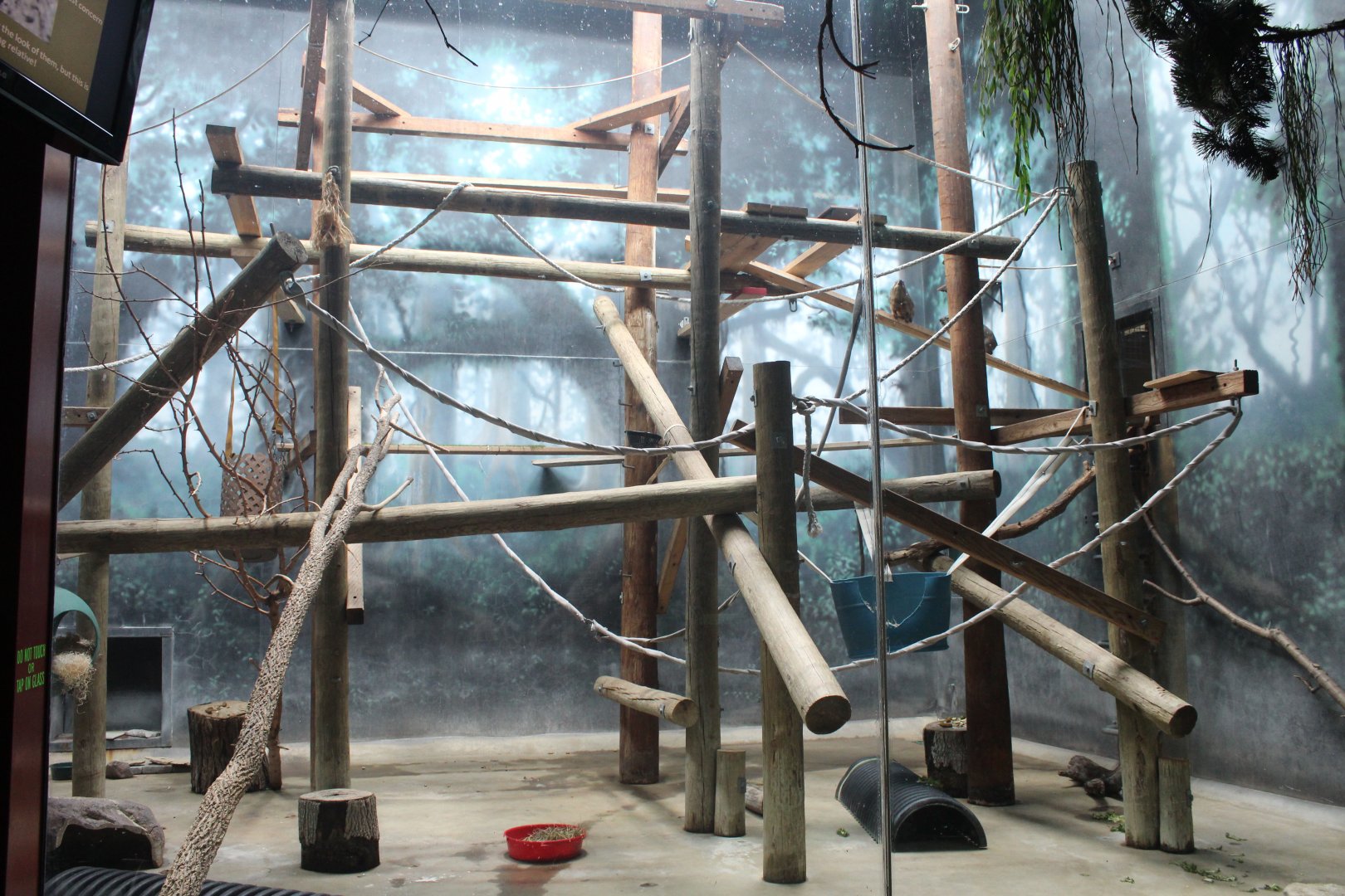 Black and White-ruffed Lemur & Rock Hyrax Exhibit - Primate House