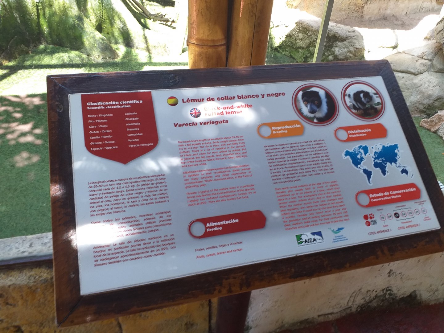 Black and white ruffed lemur sign -MundoMar Benidorm (2021)