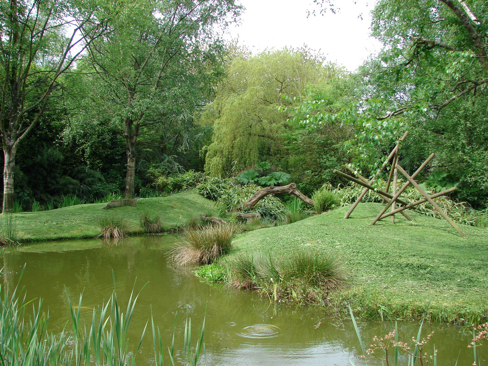 Black and white ruffed lemurs exhibit