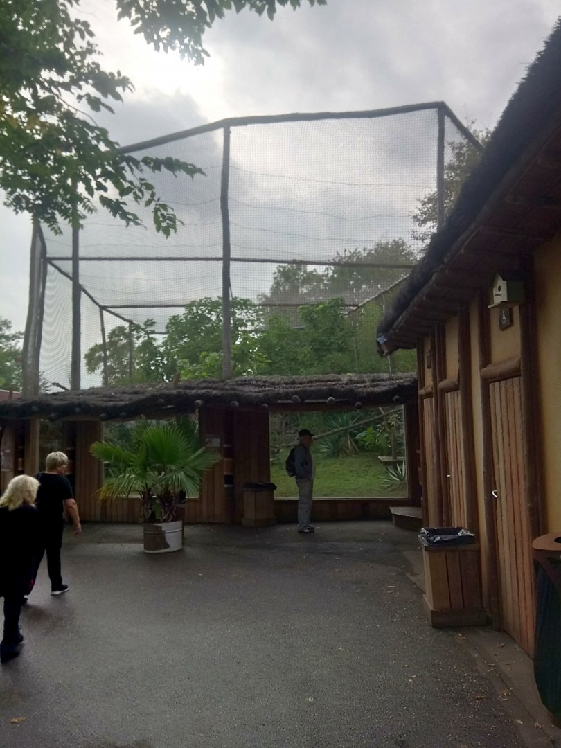 Black-and-white Ruffed Lemurs Exhibit