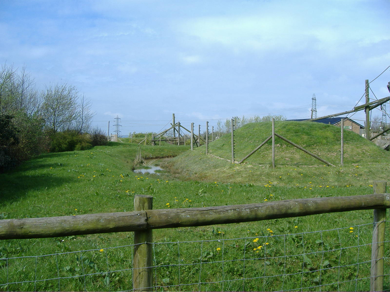 Black and White Ruffed Lemurs Folly Farm