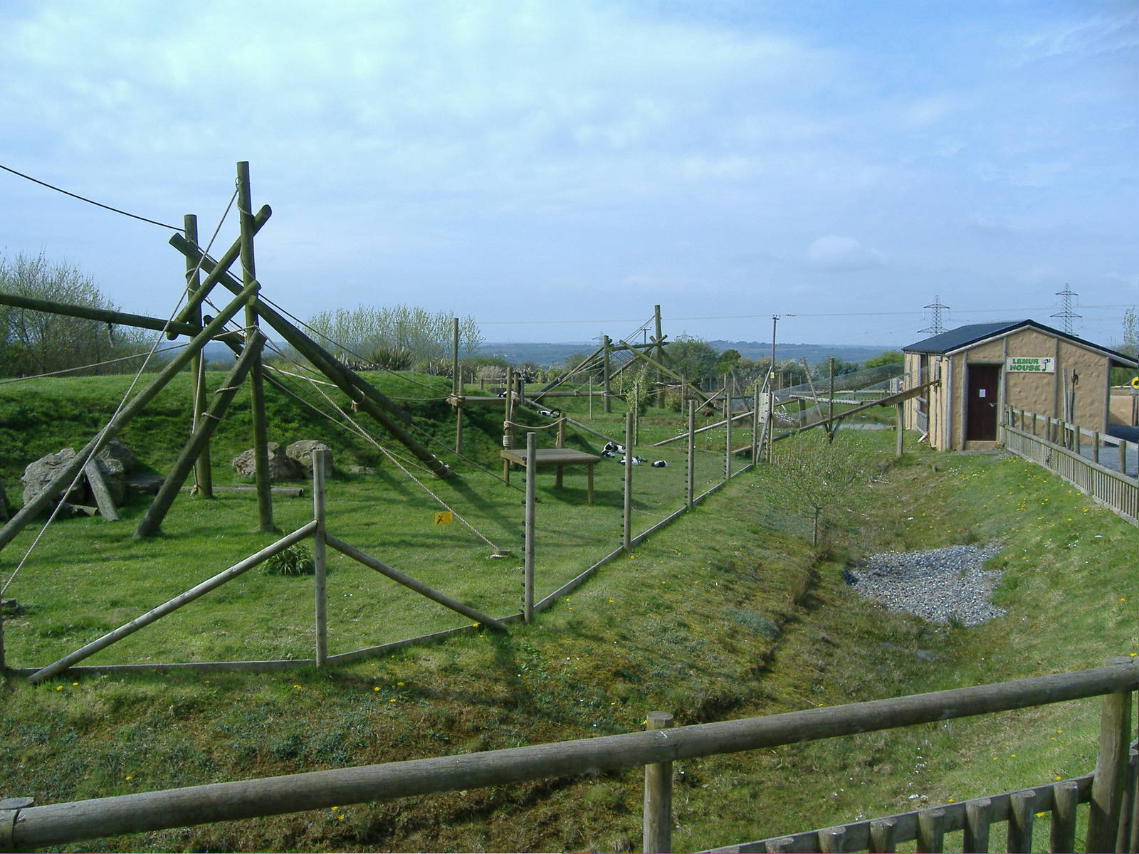 Black and White Ruffed Lemurs Folly Farm
