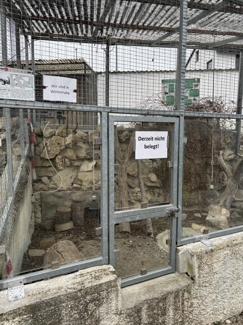 Black and White Tegu enclosure at Zoo Wassertstern (Ingolstadt)