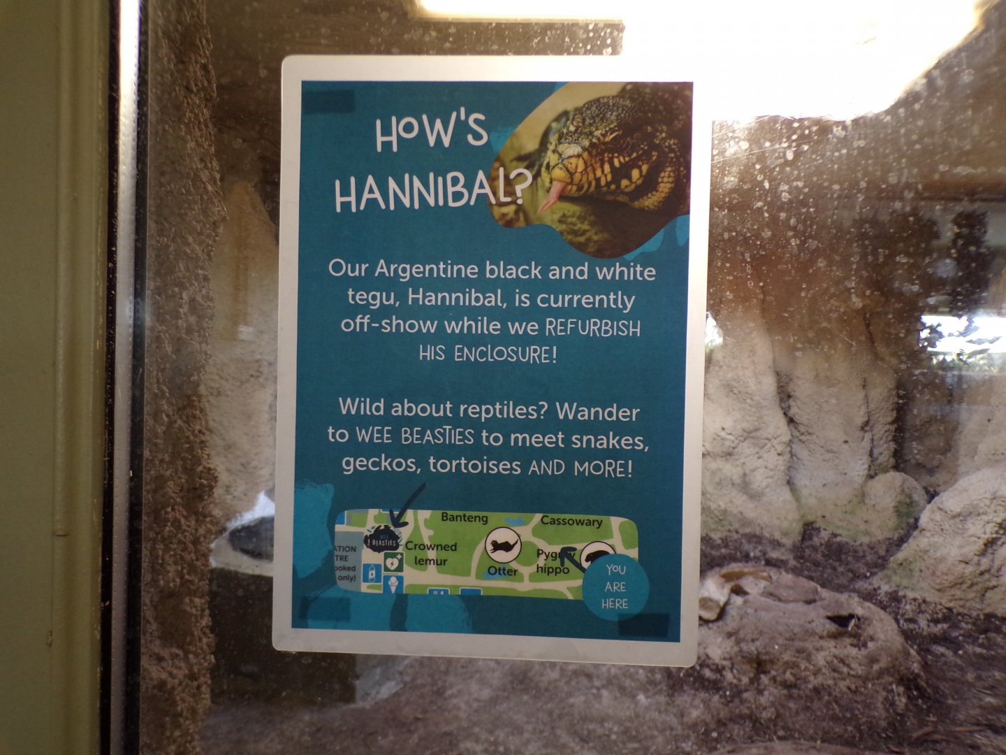 Black and white tegu signage 9.9.23