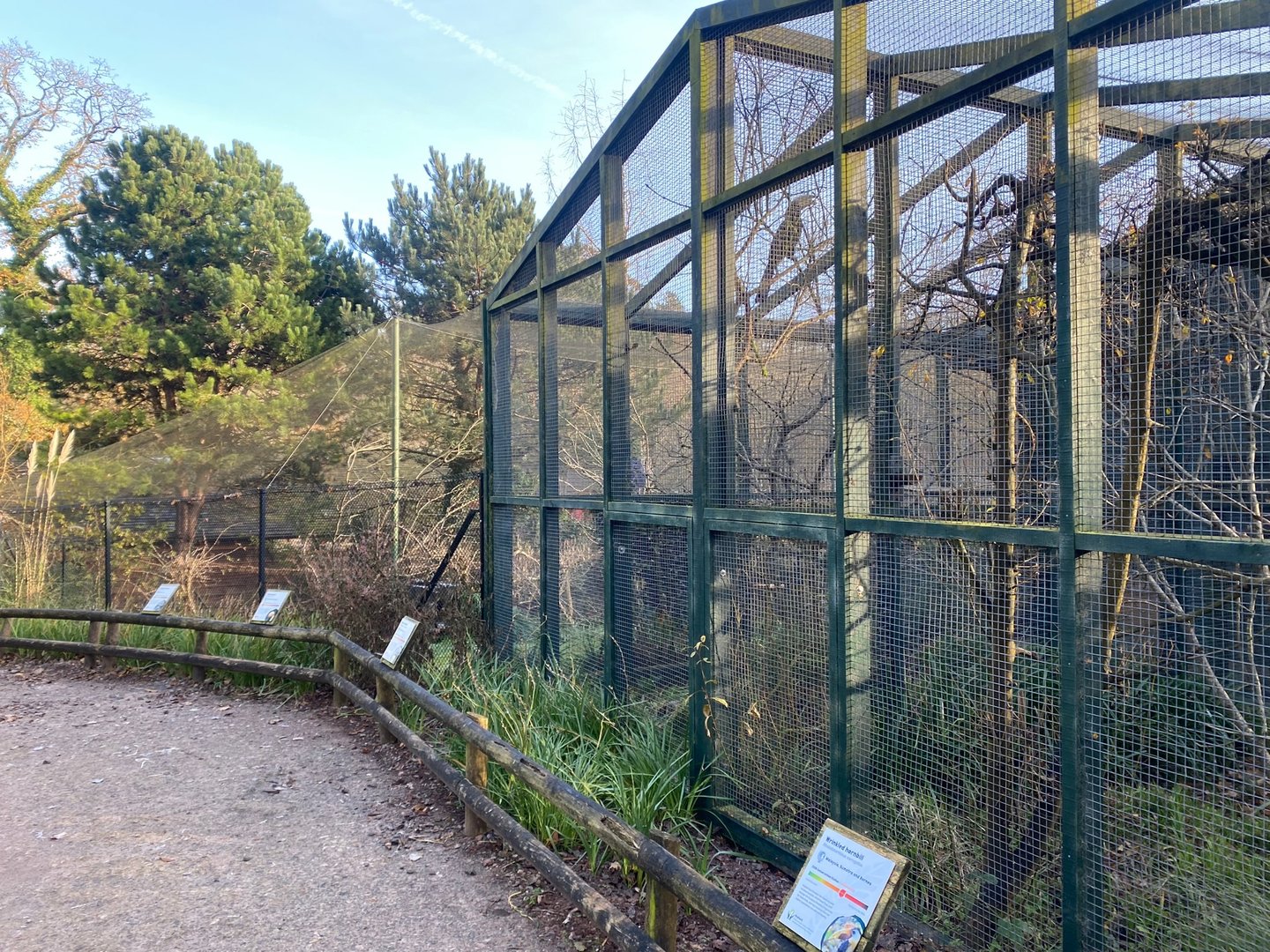 Black and Wrinkled hornbill aviaries 161222