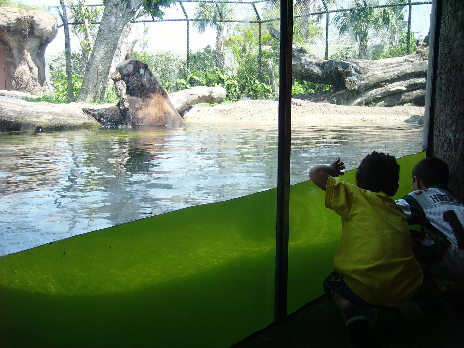 Black Bear and Children - Florida Pioneer Trail