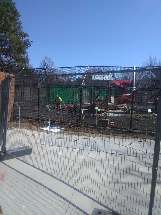 Black Bear Construction