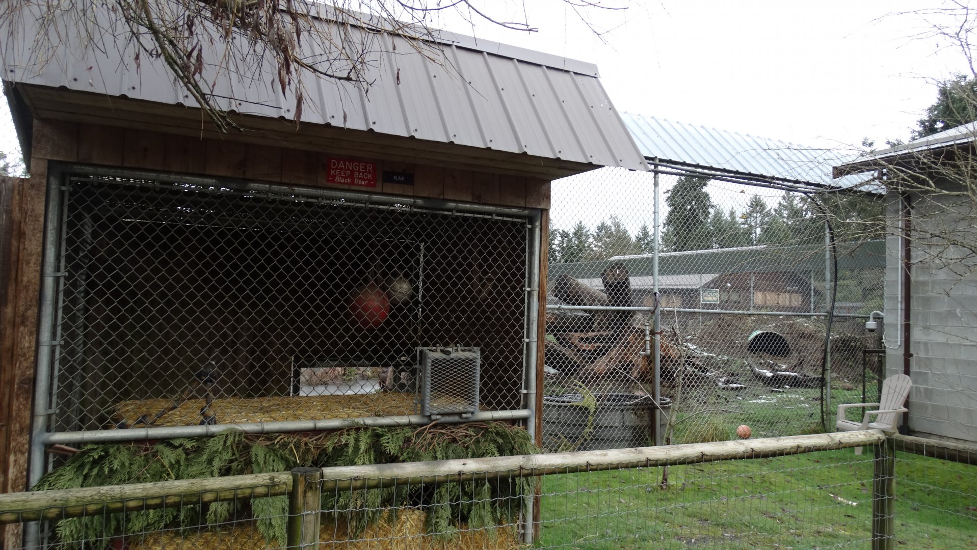 Black bear demonstration area