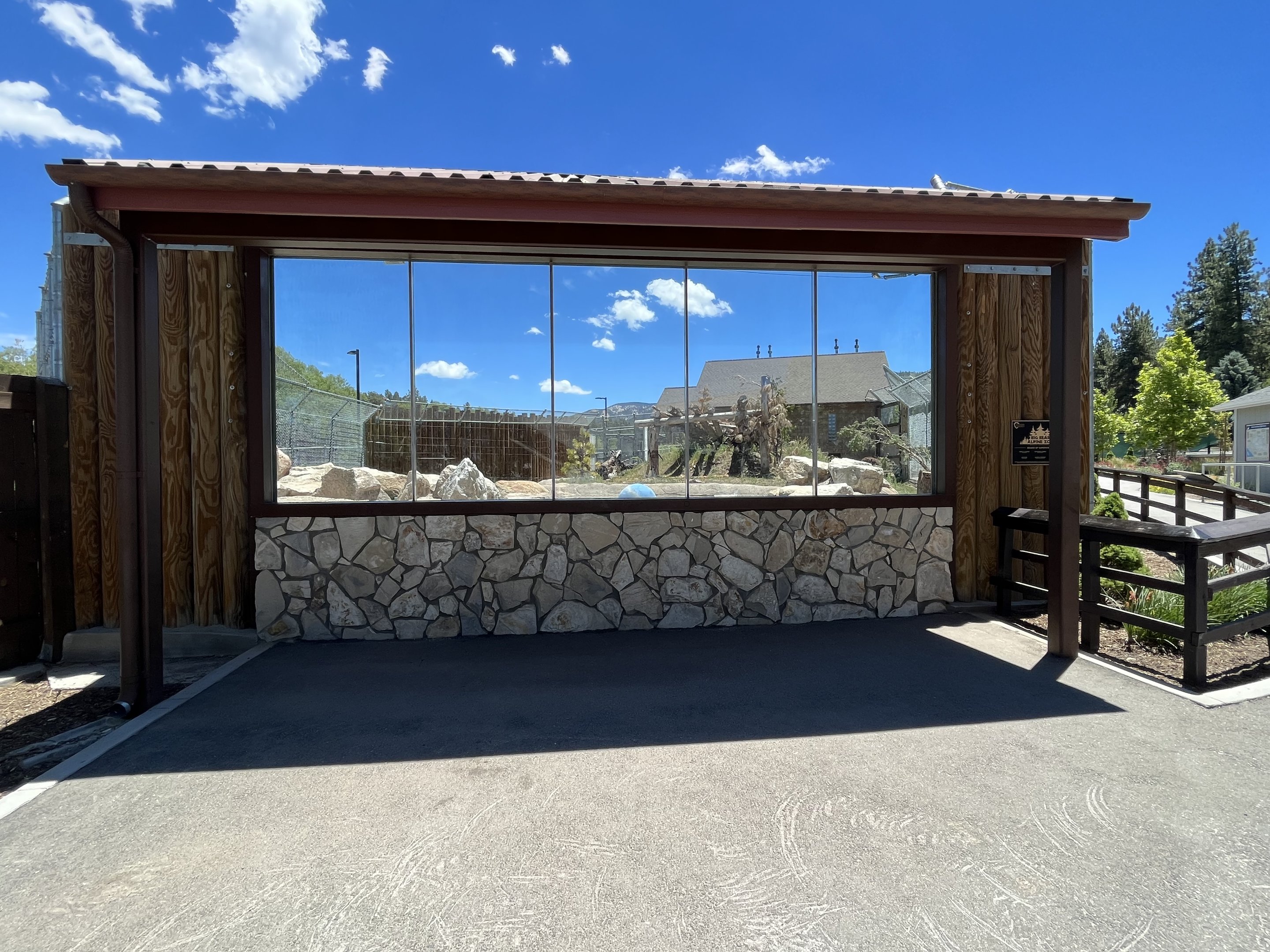 Black Bear Exhibit #1