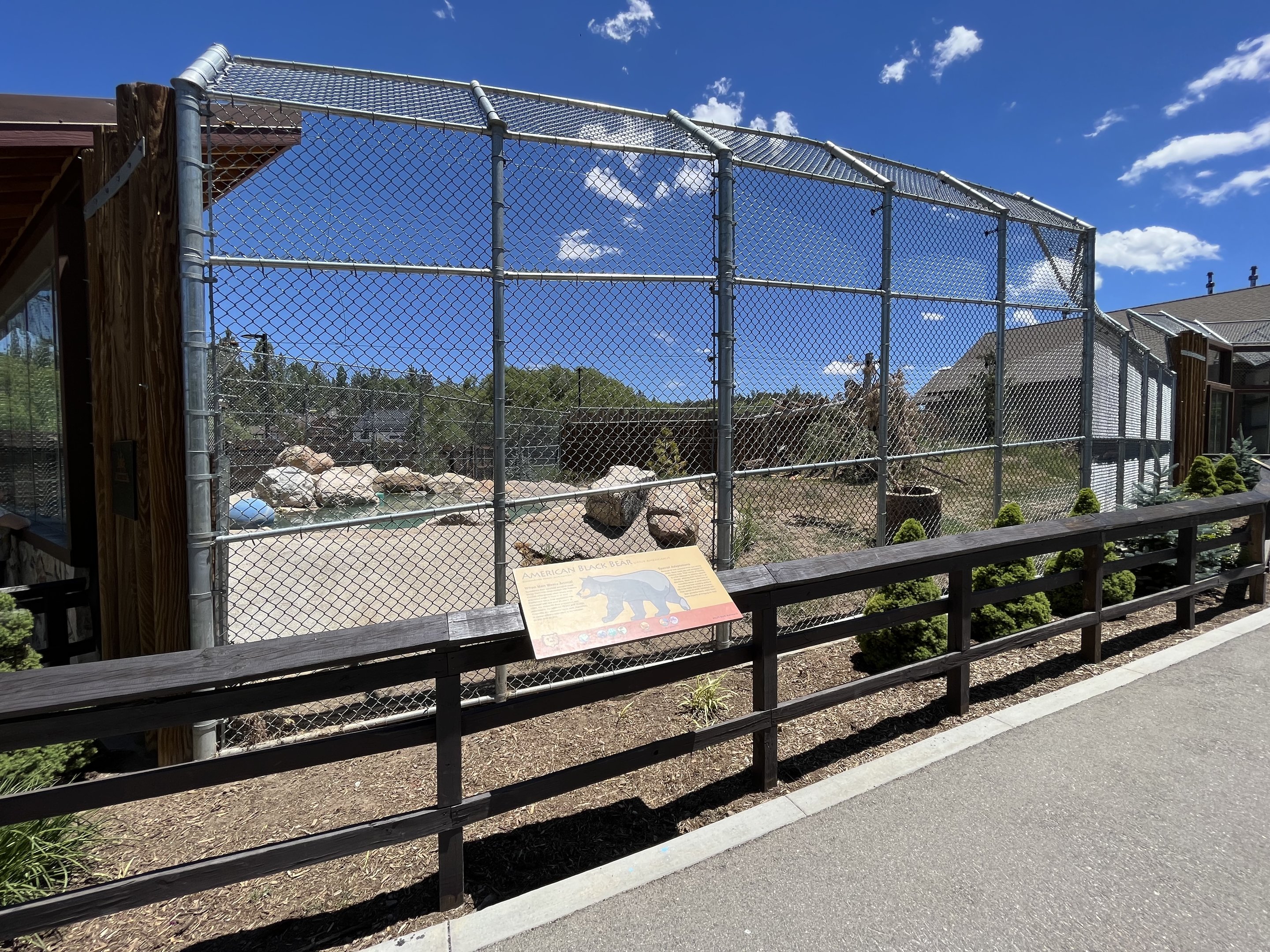 Black Bear Exhibit #1