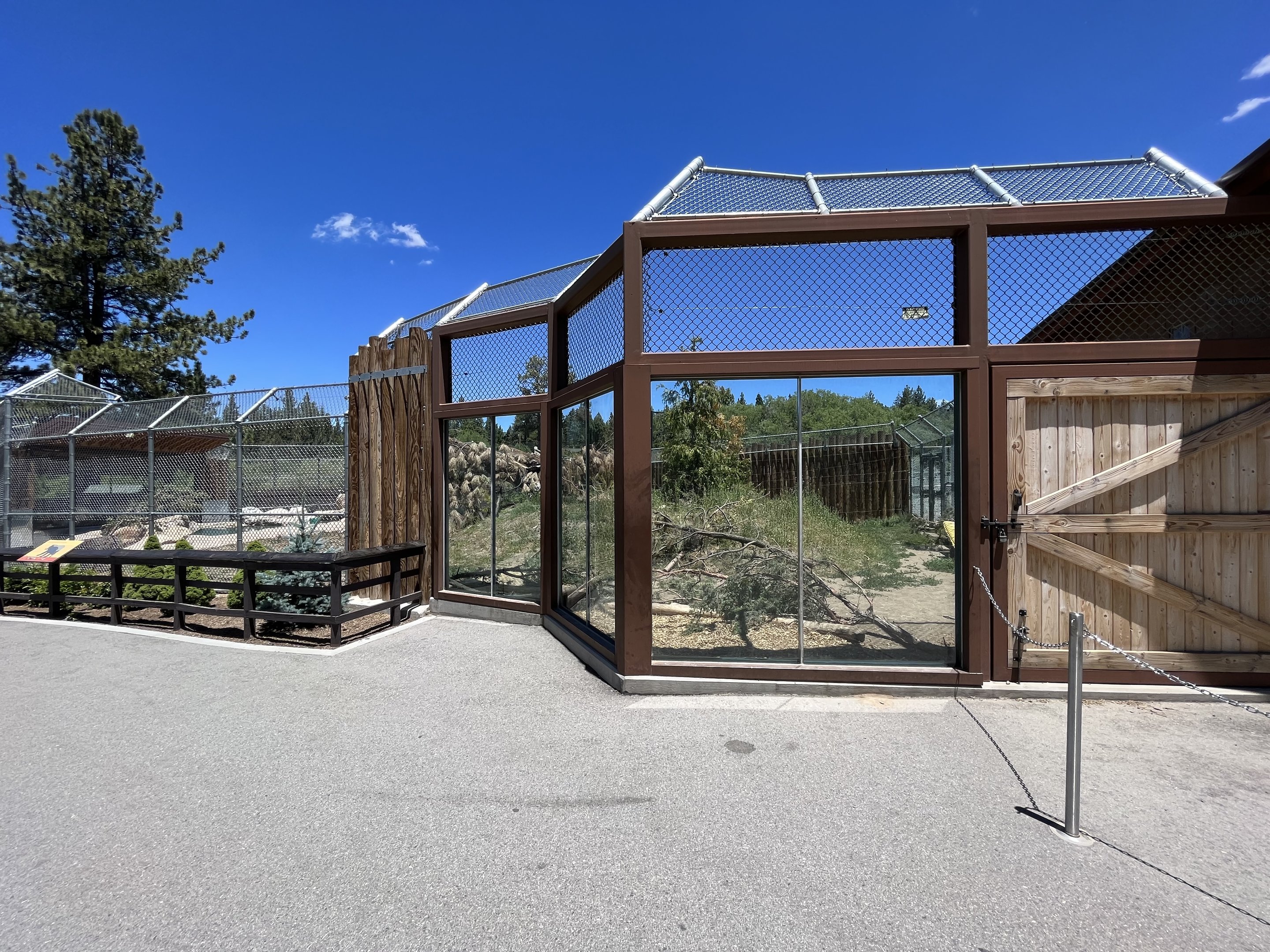 Black Bear Exhibit #1