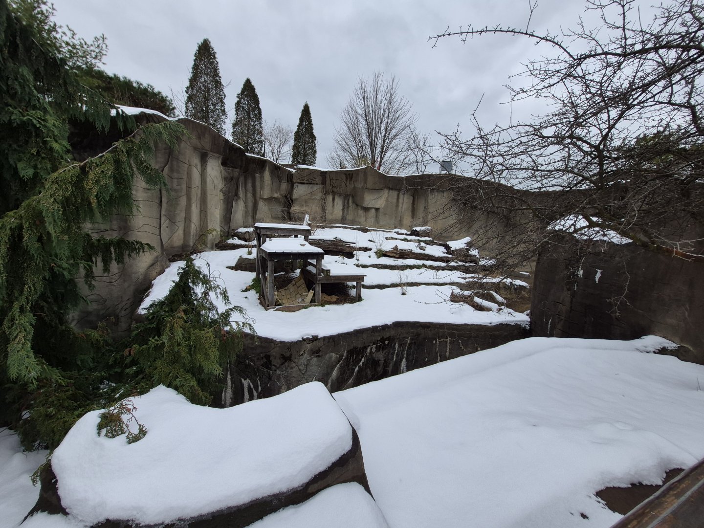 Black Bear Exhibit Left Side