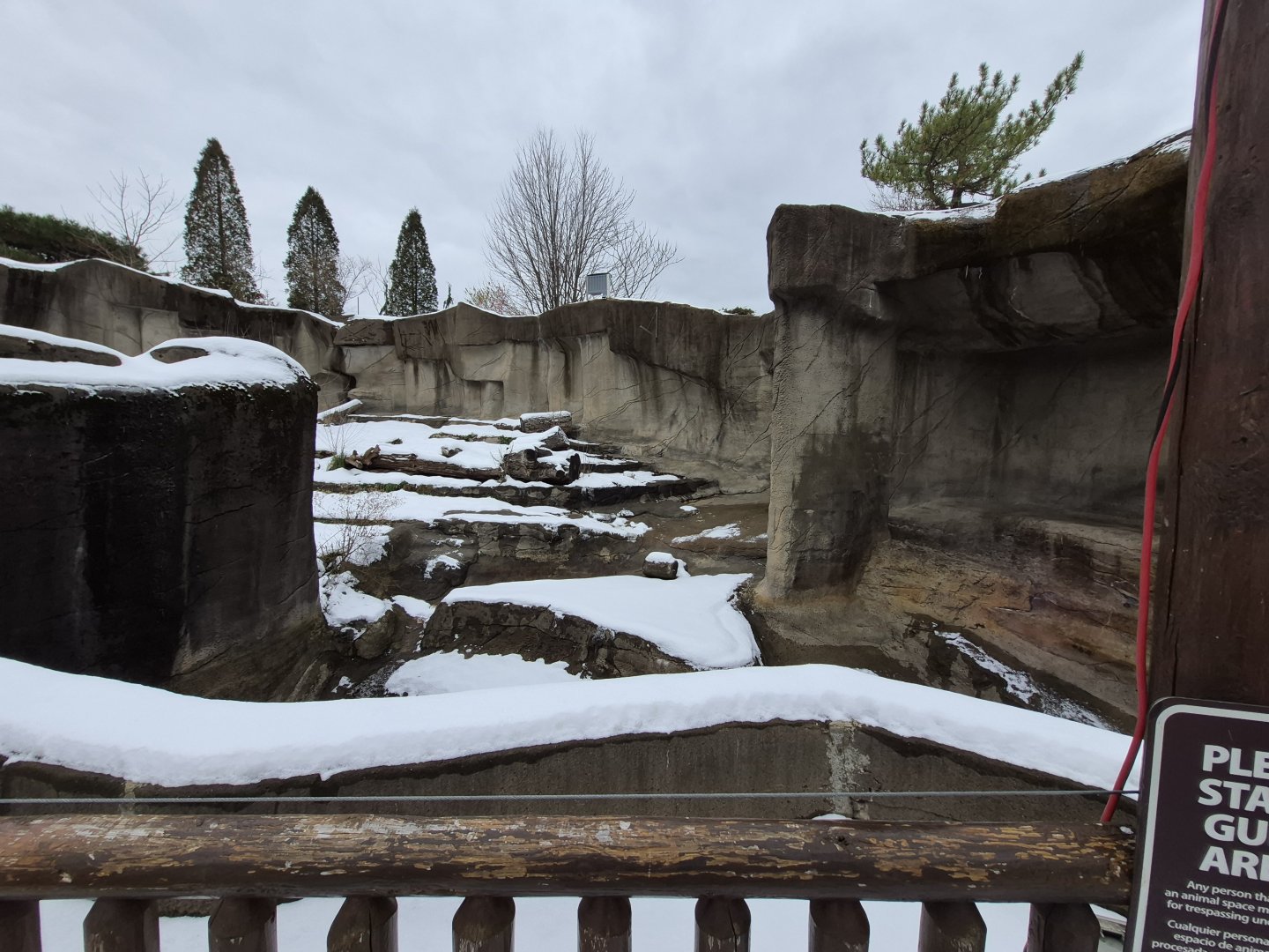 Black Bear Exhibit Right Side