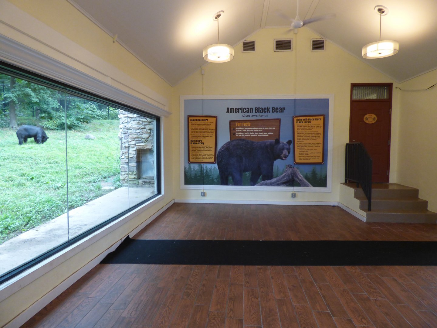 Black Bear Exhibit - Sept. 2018