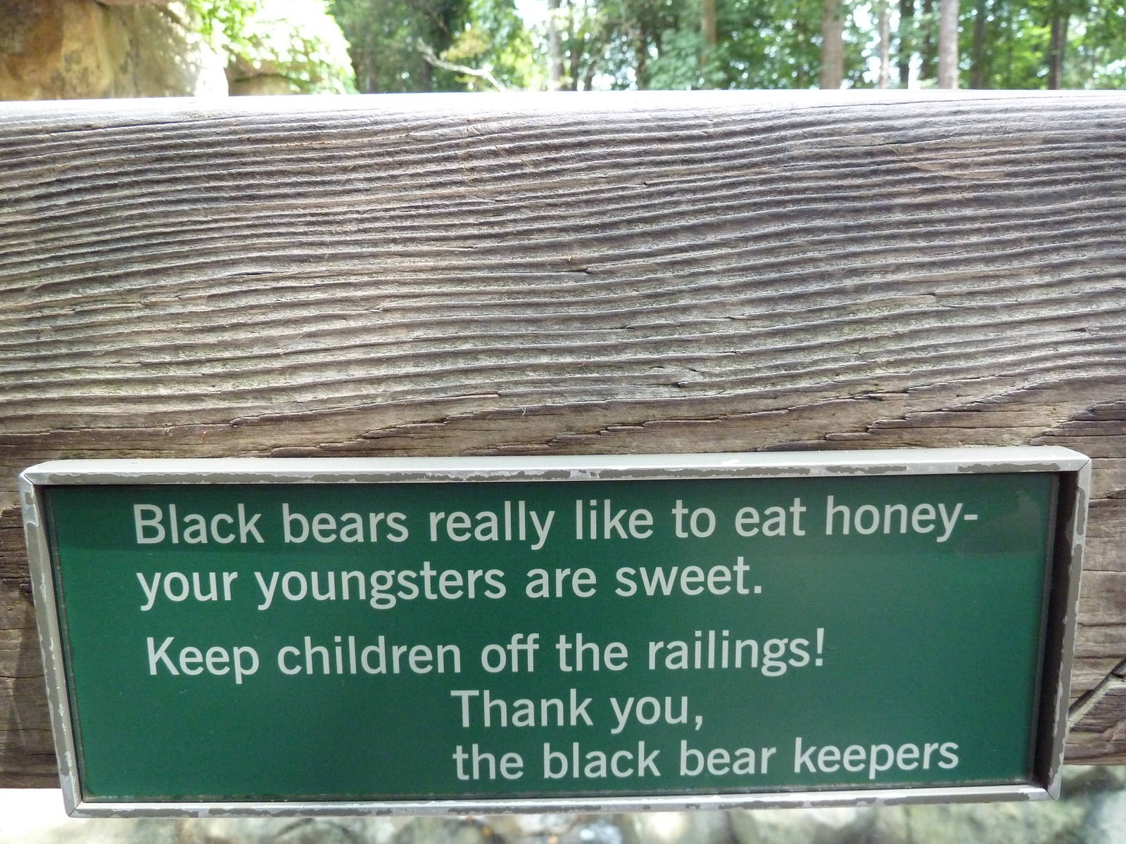 Black Bear Exhibit - Sign