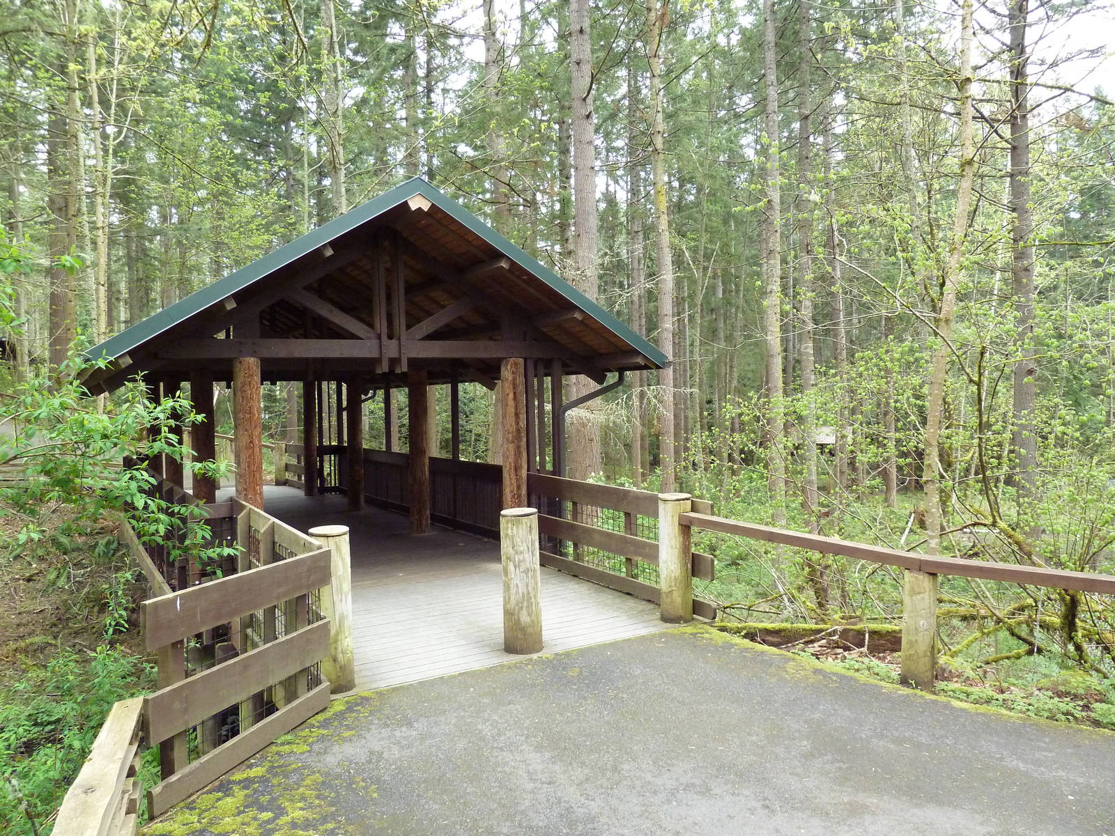Black Bear Exhibit - Viewing Bridge