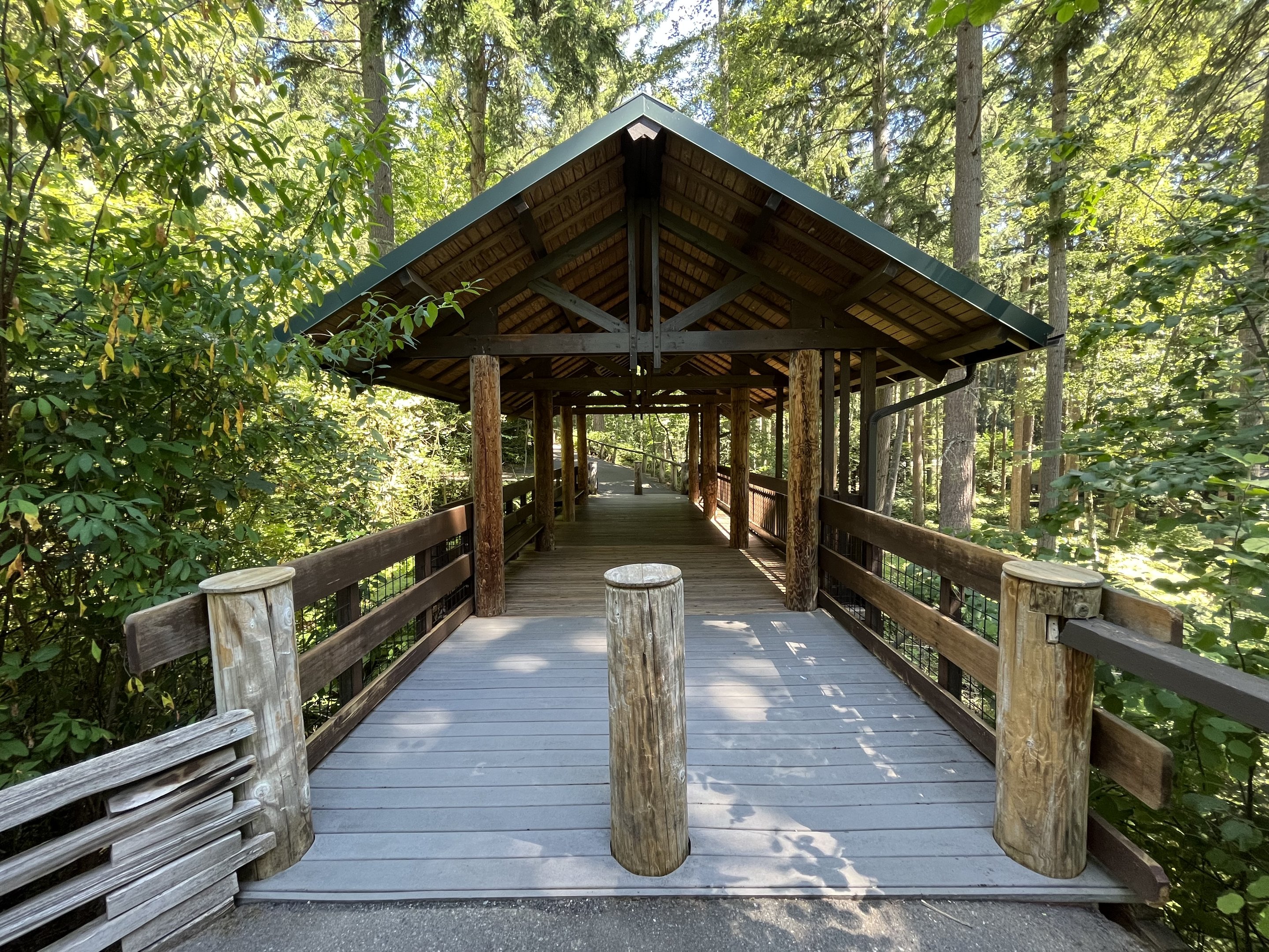 Black Bear Exhibit - viewing deck
