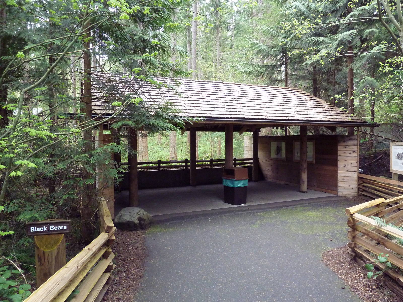 Black Bear Exhibit - Viewing Shelter
