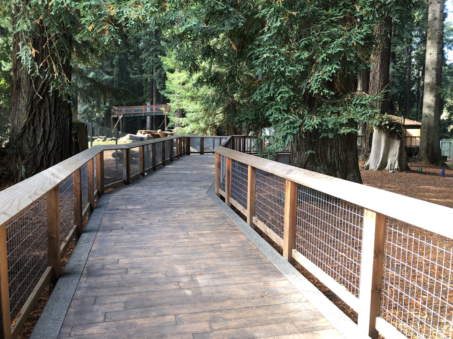 Black bear exhibit walkway (Opened summer 2023)