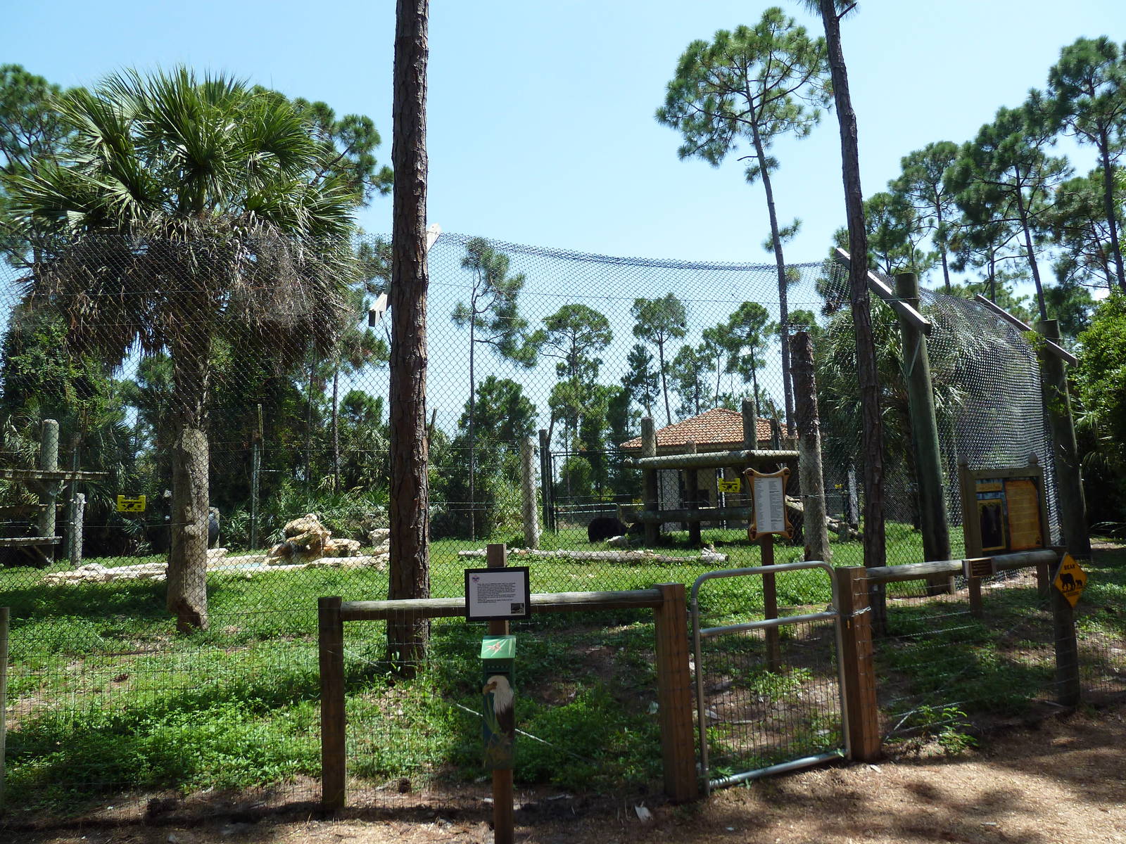 Black Bear Exhibit