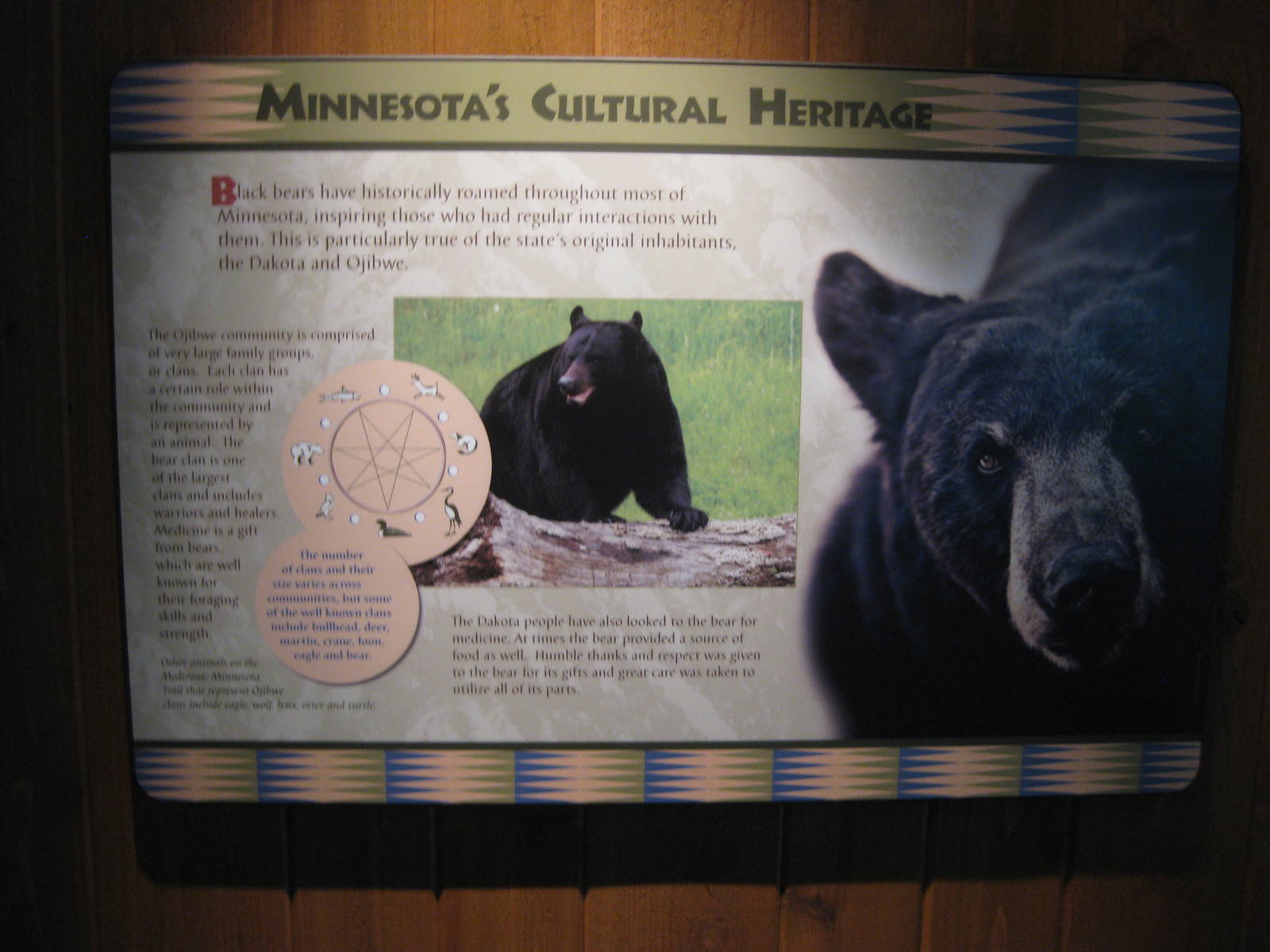 Black Bear Exhibit