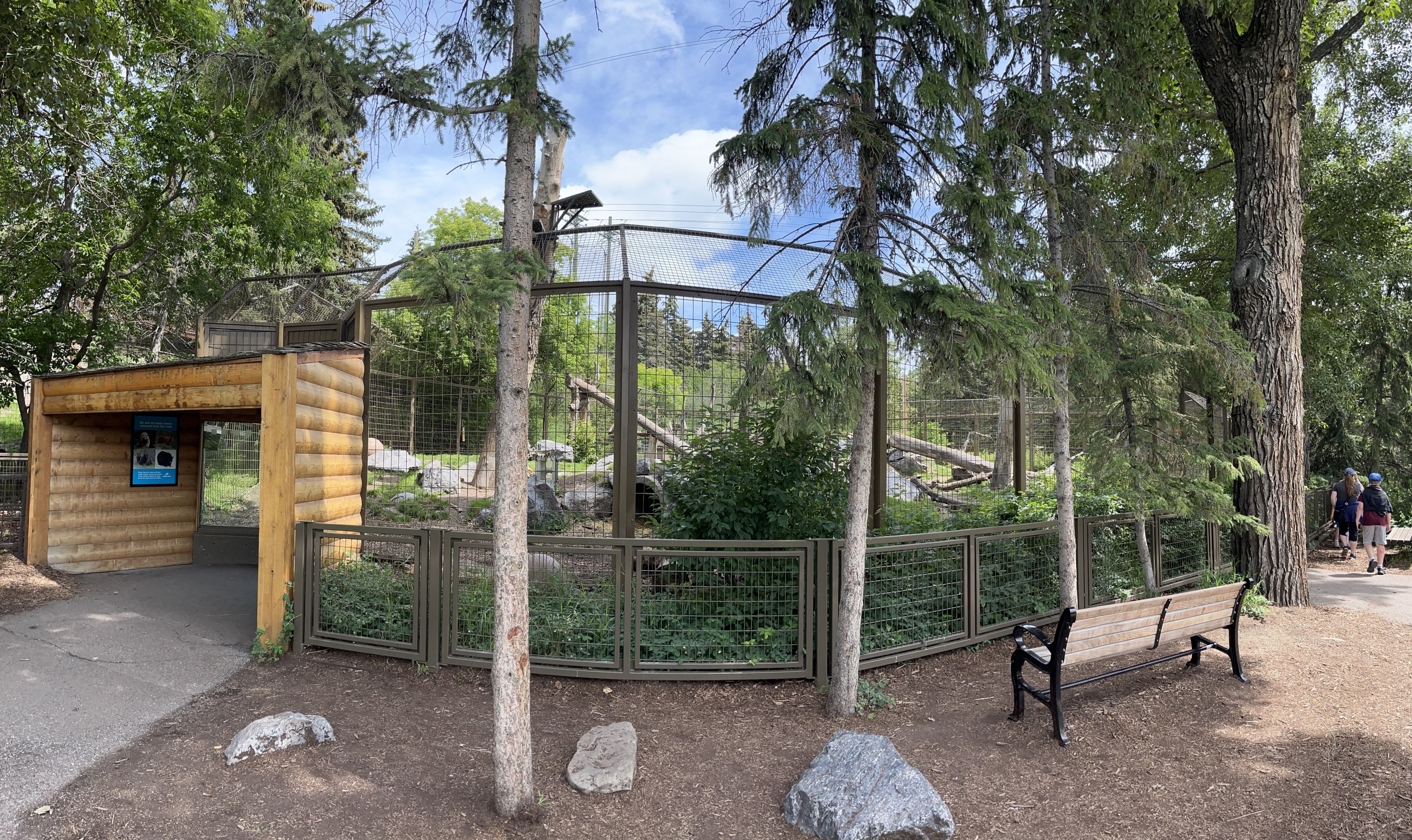 Black Bear Exhibit