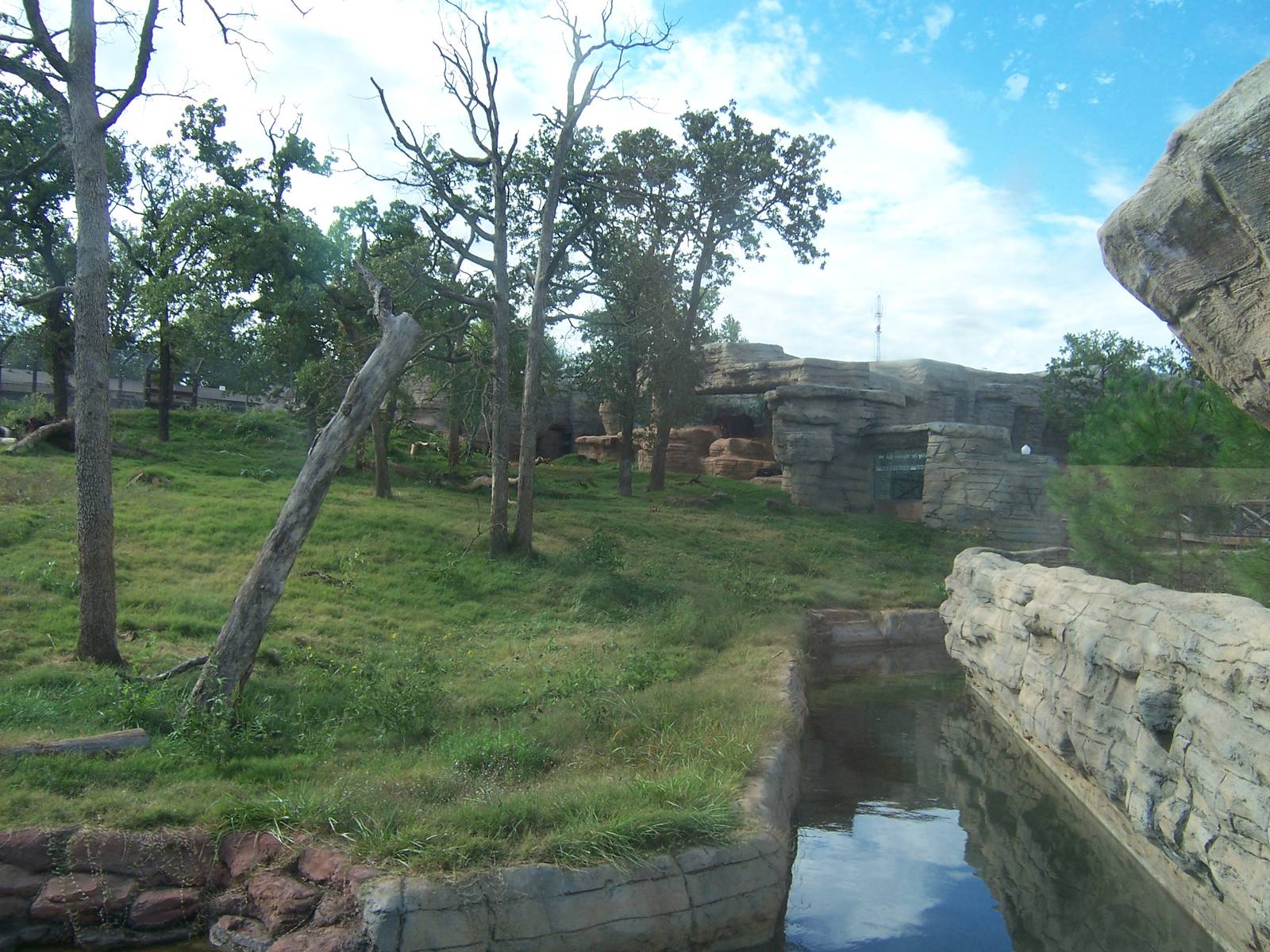 Black bear exhibit