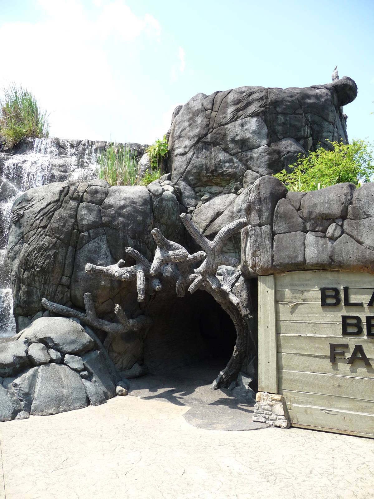 Black Bear Falls - Tunnel Entrance