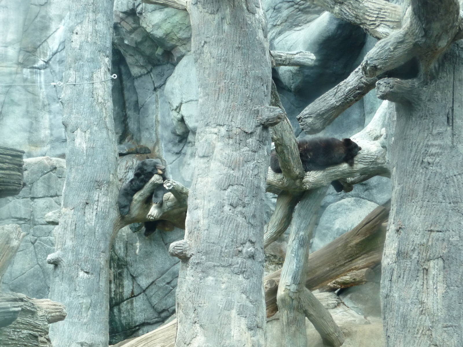 Black Bear Falls - Two Sleeping Bears