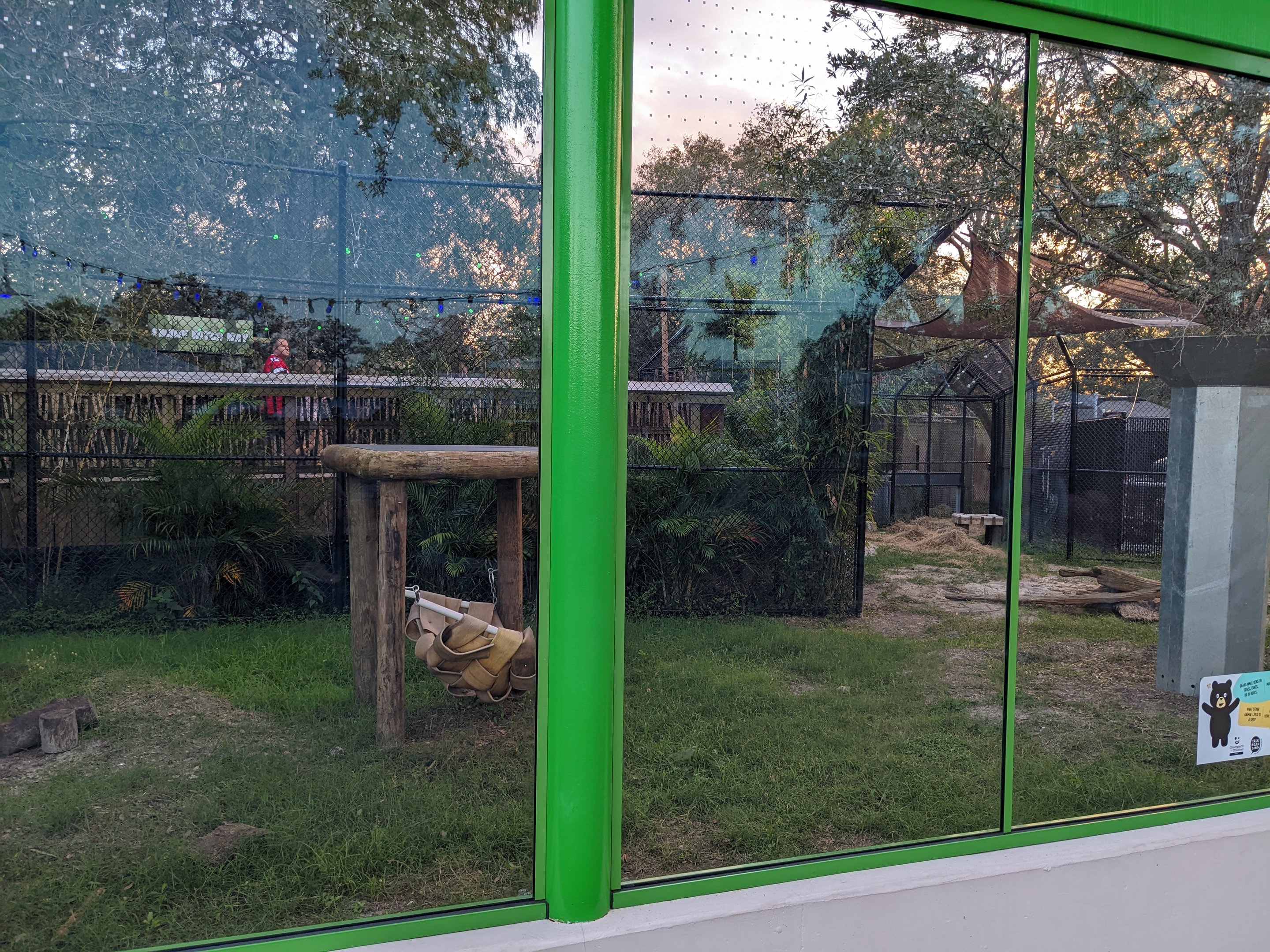 Black bear habitat #1 update