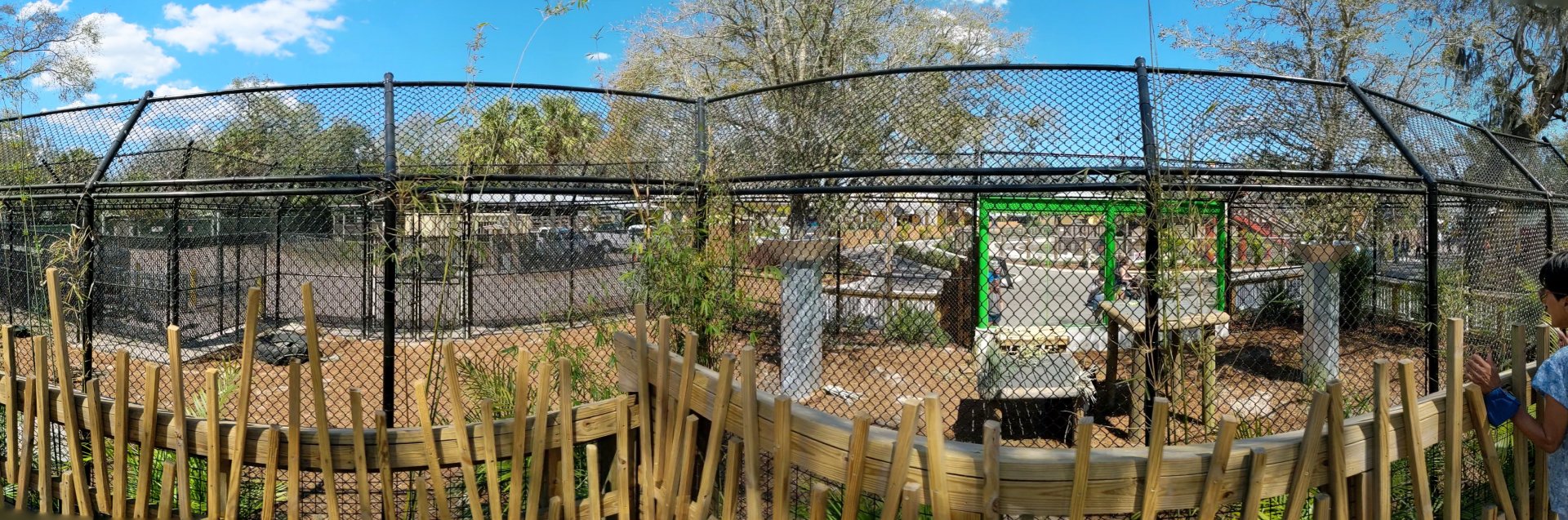 Black bear habitat #1