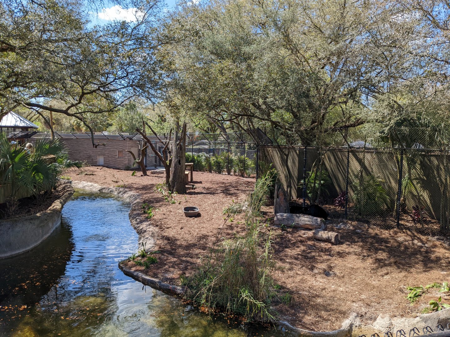 Black bear habitat #2