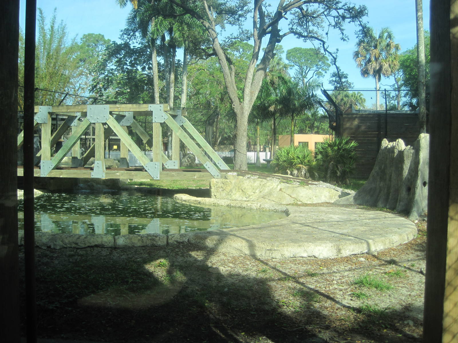 Black Bear Hammock- Natural Habitat