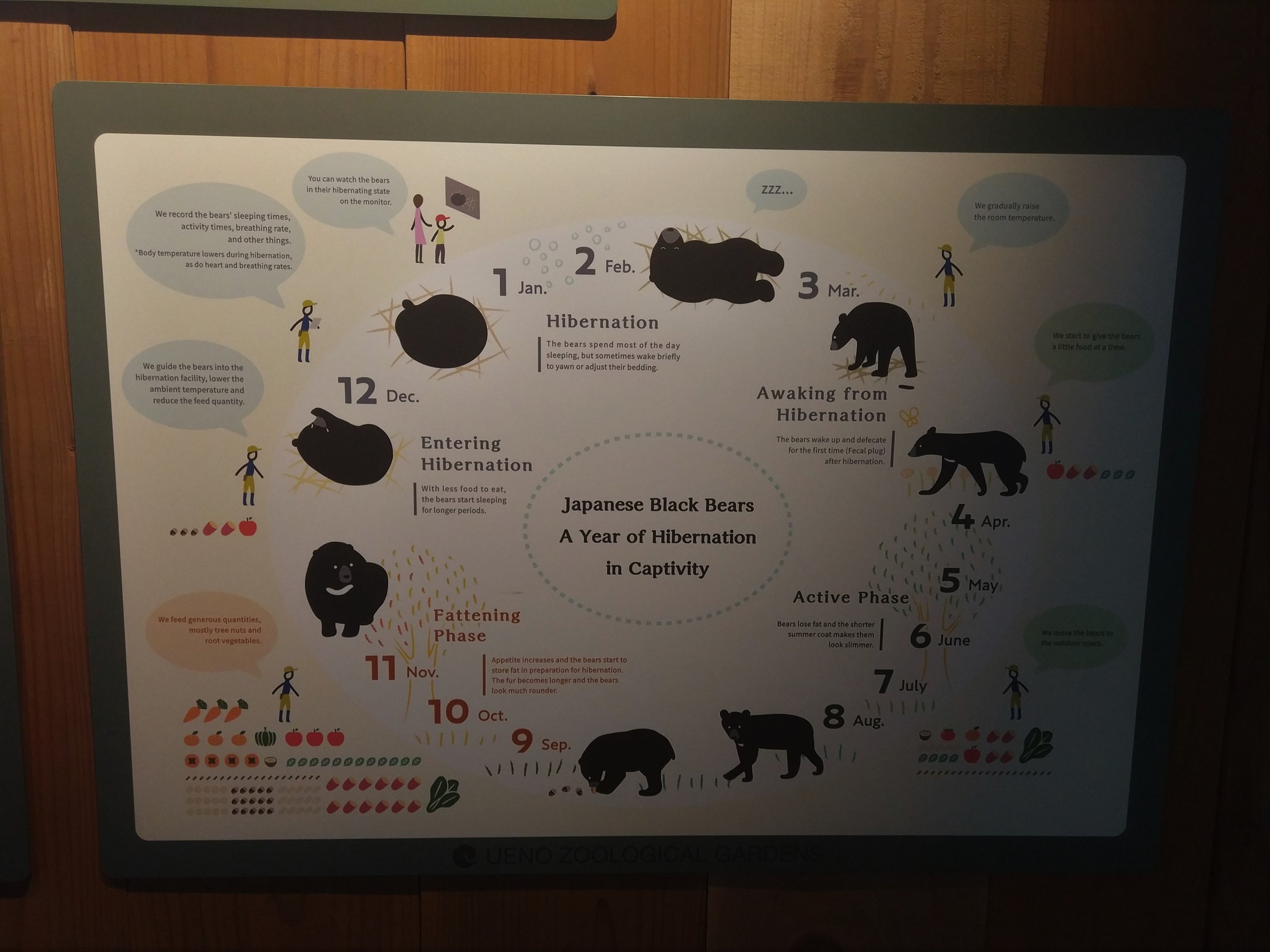 Black Bear Hibernation Signage