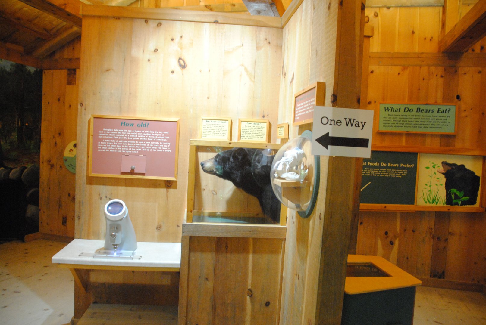 Black Bear interpretive materials