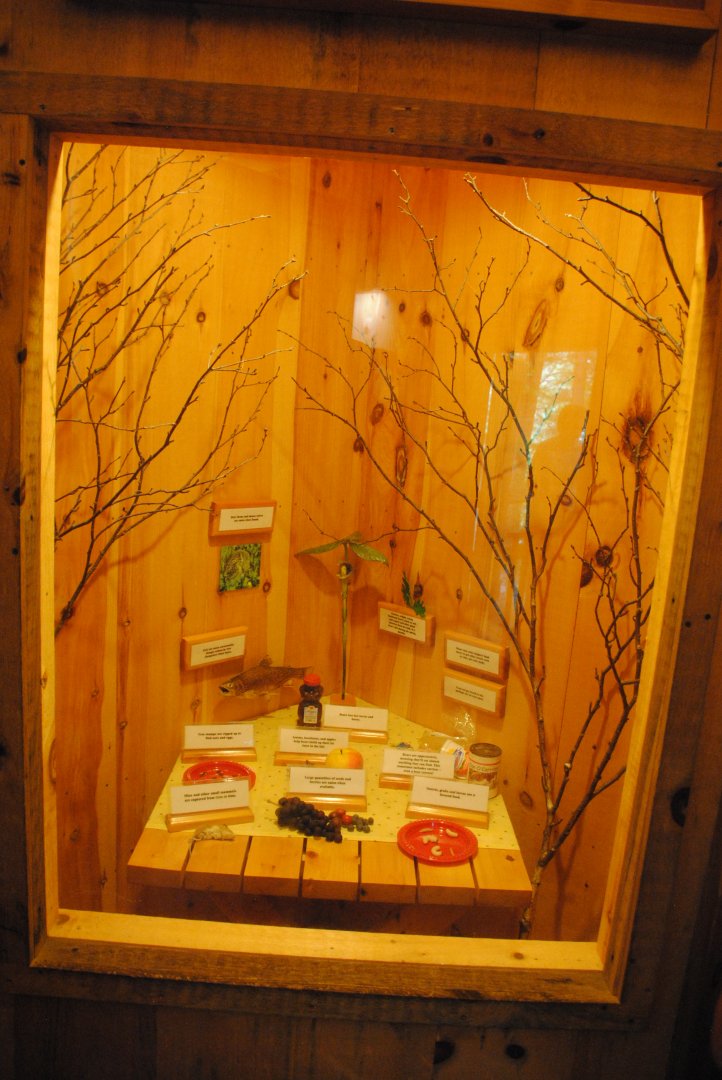 Black Bear interpretive materials