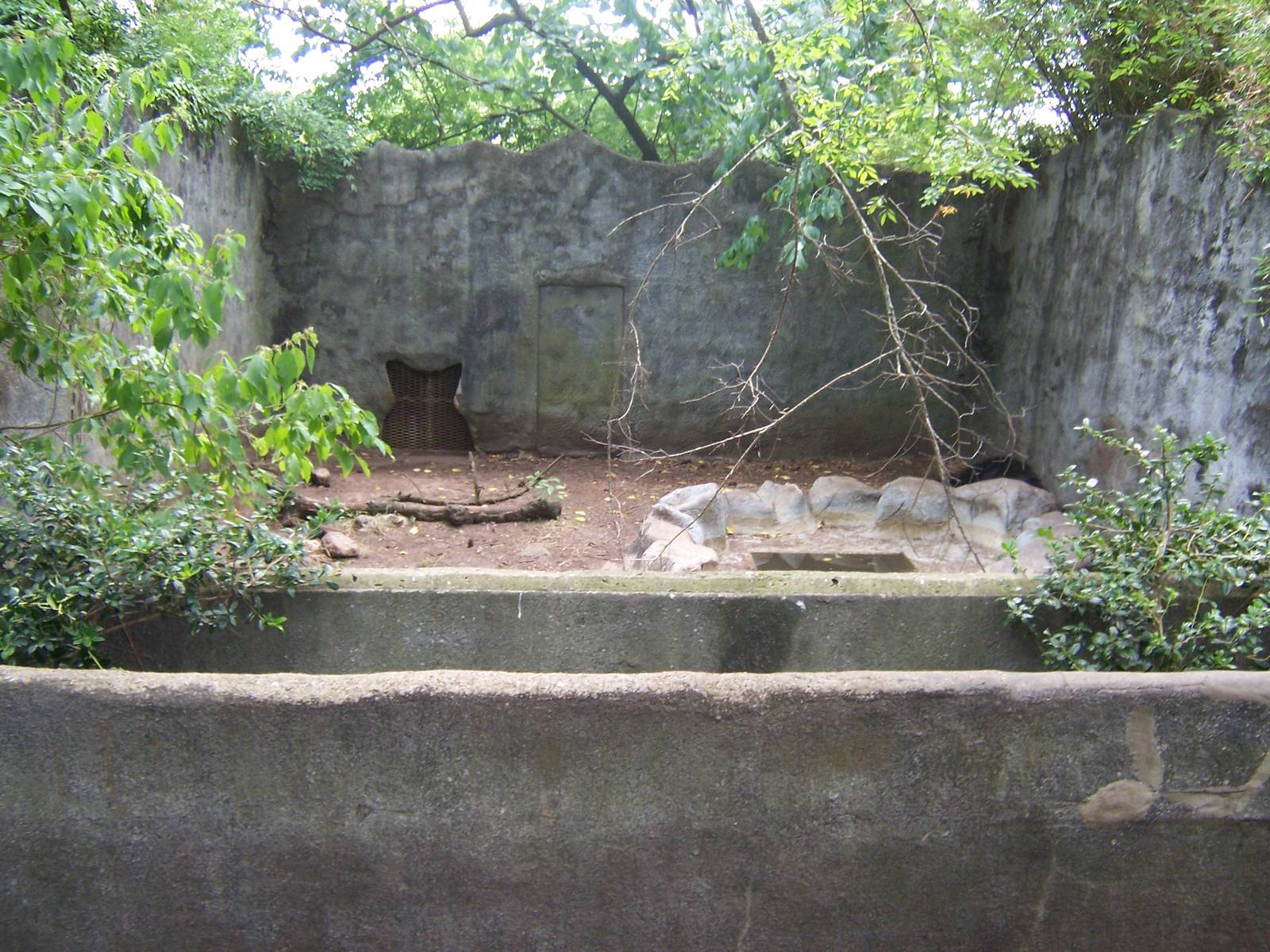 Black Bear pit/grotto