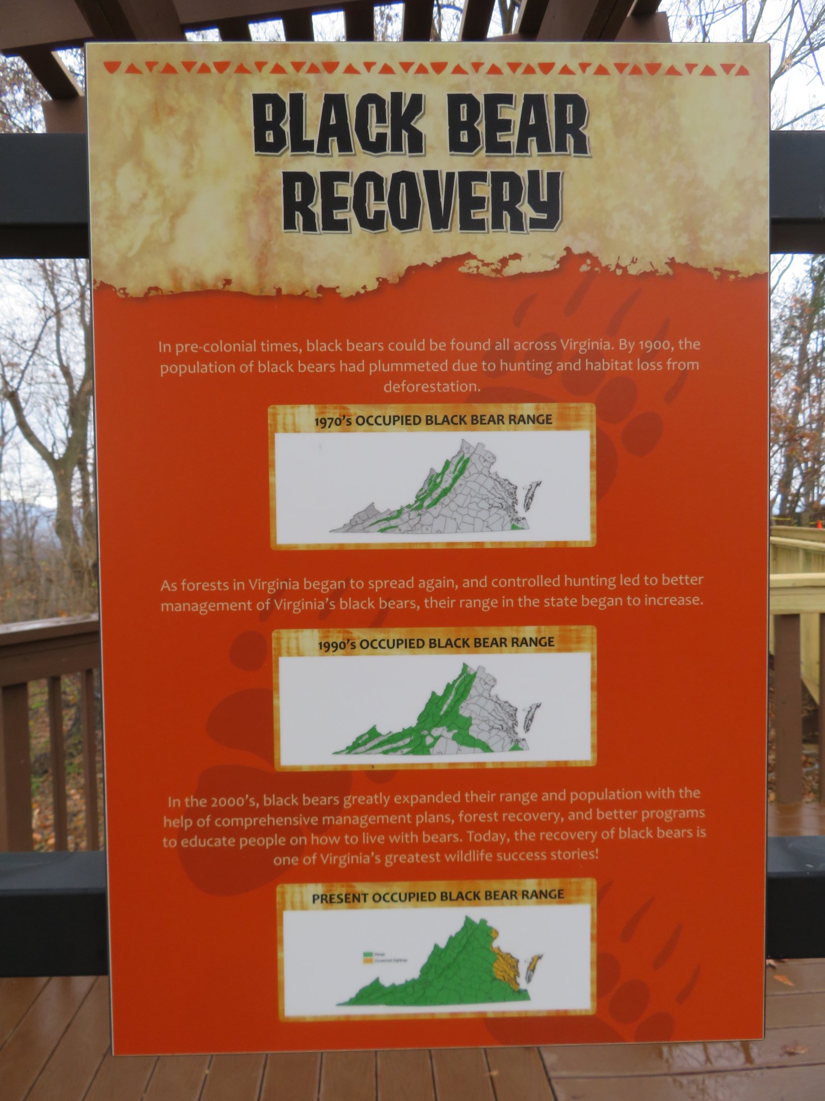 Black Bear Recovery Signage