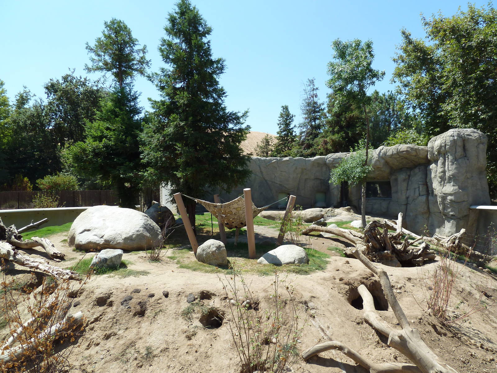 Black Bear/Red Fox Exhibit