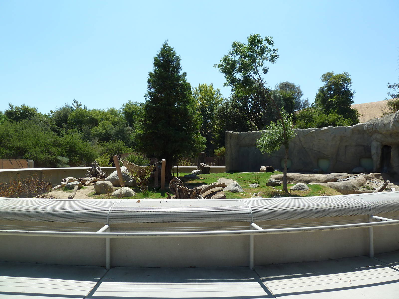 Black Bear/Red Fox Exhibit