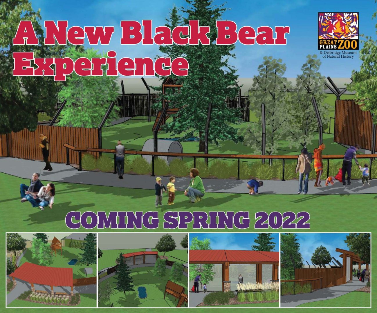 Black Bear Renovation Concept
