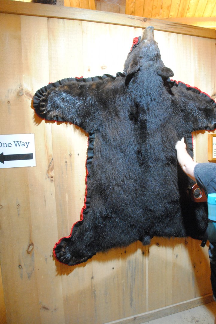 Black Bear rug (inside Black Bear viewing shelter)