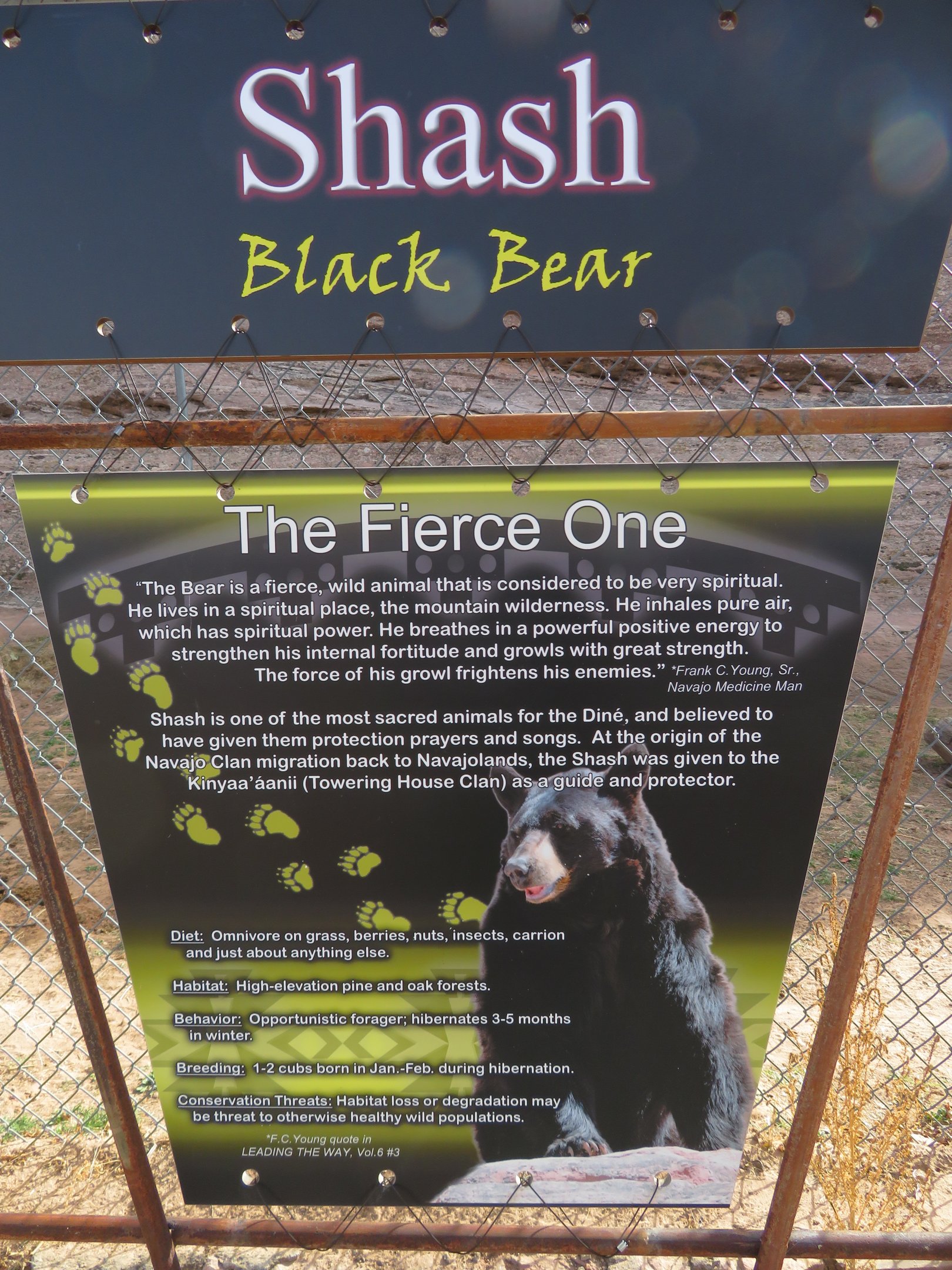 Black Bear Signage