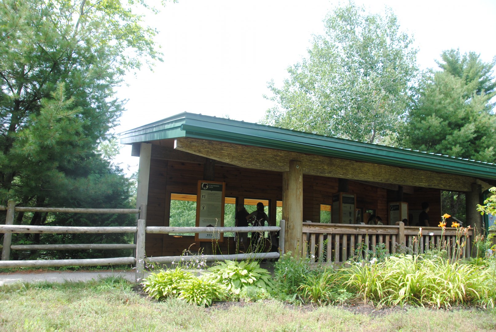 Black Bear viewing area