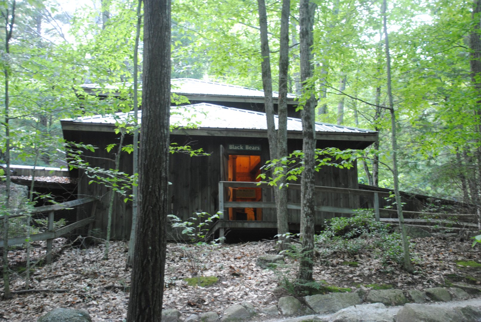 Black Bear viewing shelter