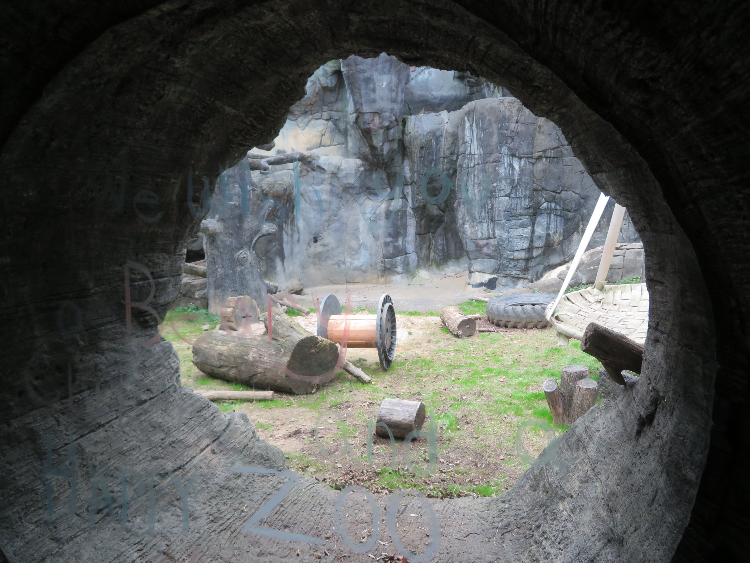 Black Bear Viewing Tunnel