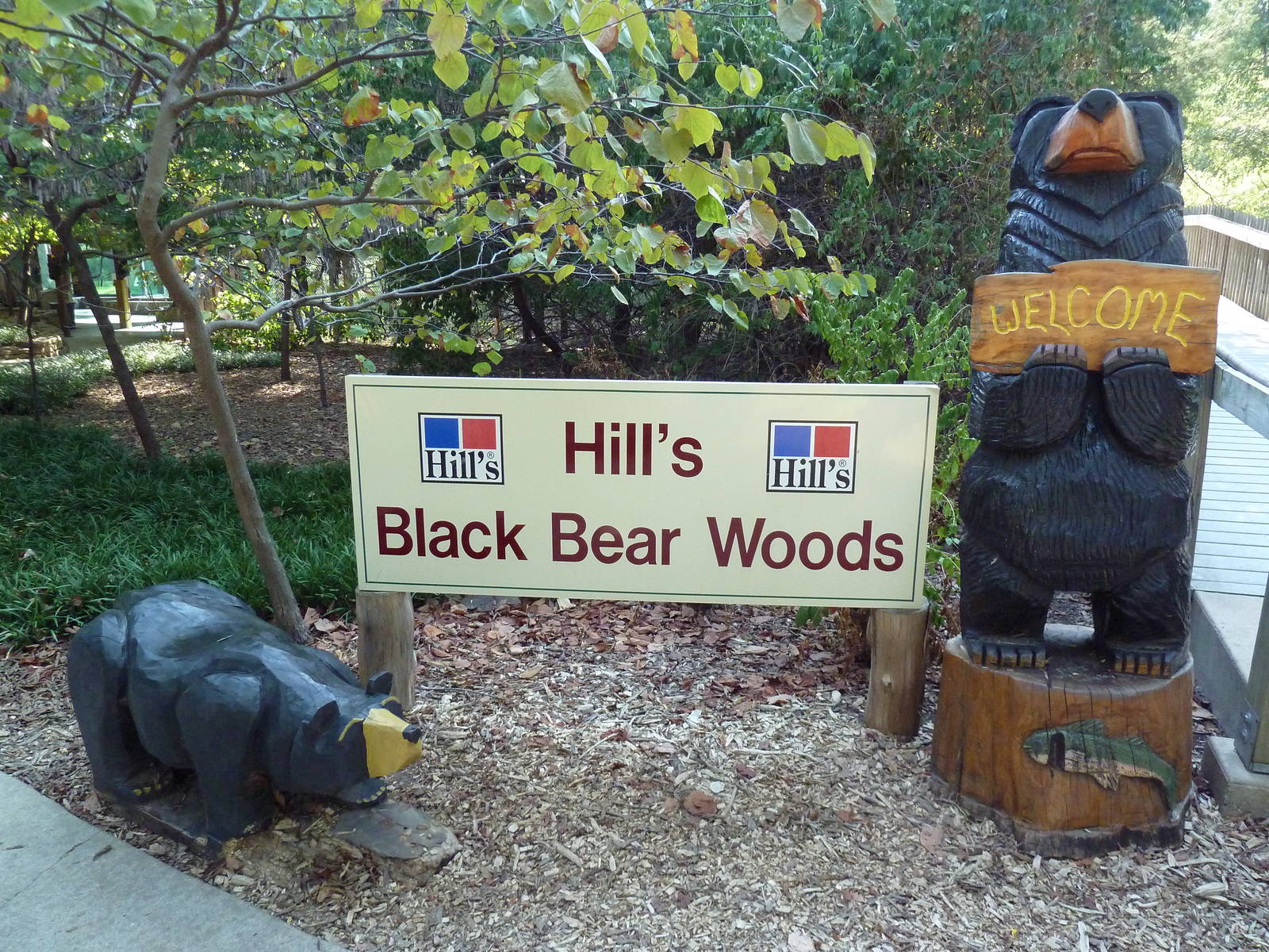 Black Bear Woods - Entrance Area