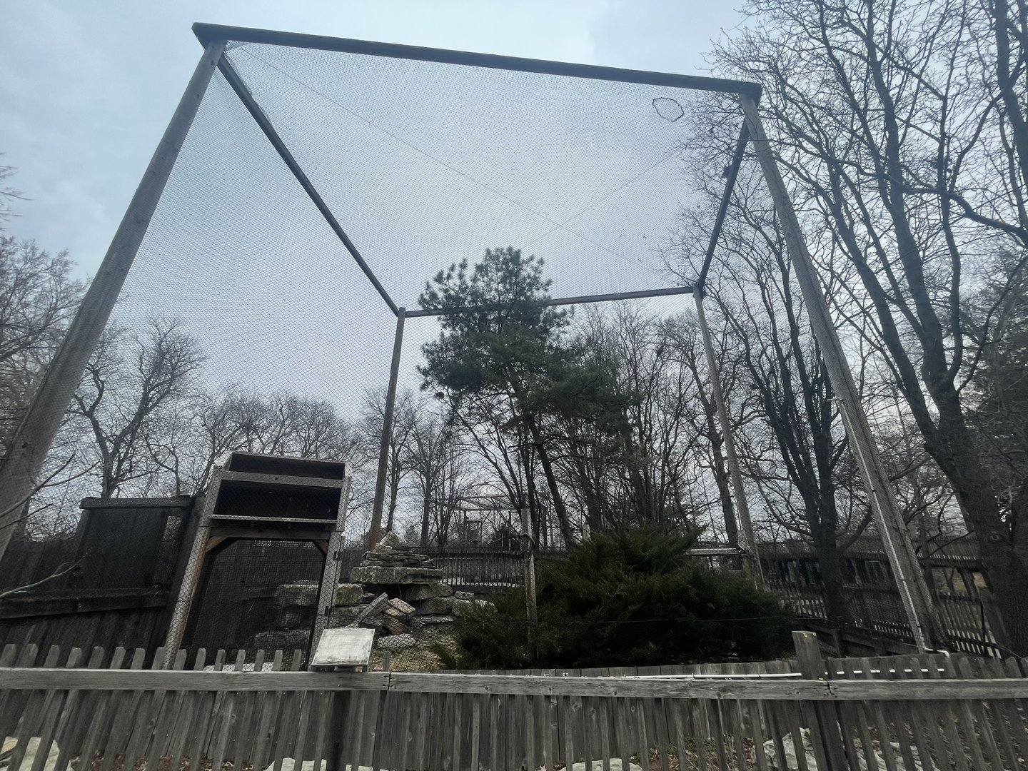 Black Bear Woods - Eurasian Eagle Owl Exhibit