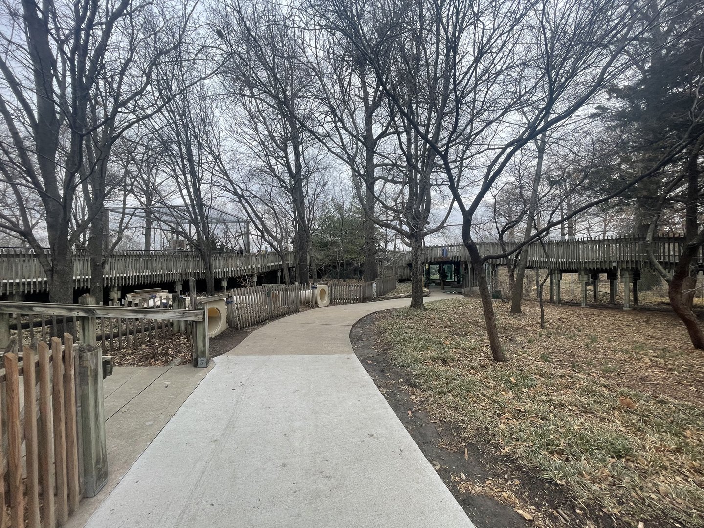 Black Bear Woods - General View
