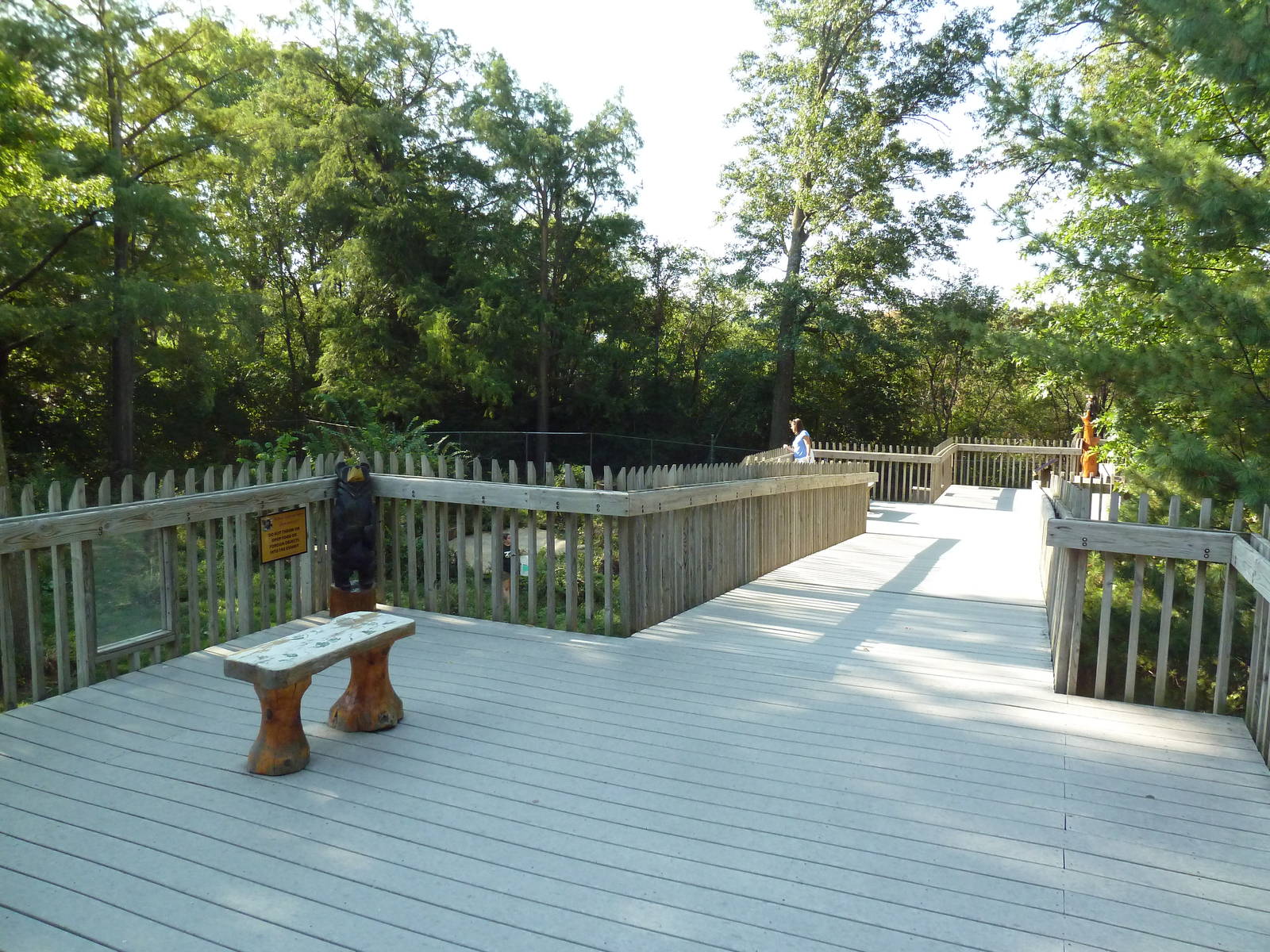 Black Bear Woods - Overlook Deck